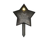 Memorial Solar Light Up Star Plaque - Dad