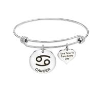 MEMORIALU Women Inspirational Charm Bangle Bracelet Engraved Take Time To Enjoy Every Day Constellations Heart Adjustable Bracelets Birthday Gift, Stainless Steel, stainless steel