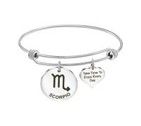 MEMORIALU Women Inspirational Charm Bangle Bracelet Engraved Take Time To Enjoy Every Day Constellations Heart Adjustable Bracelets Birthday Gift, Stainless Steel, stainless steel