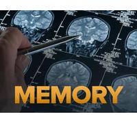 Memory and the Human Lifespan
