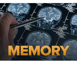 Memory and the Human Lifespan