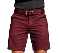 Men Business Casual Shorts Summer Dress Shorts for Men Smart