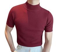 Men Casual Tee T Shirt Knitted High Neck Short Sleeve Solid Color Pleated Round Neck Casual T Shirt Top Mens Large Shirt (Wine, S)