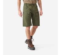 Men’s Hemp Cargo Bermuda Shorts 500 Green