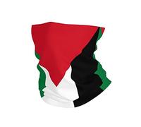 Men Women Balaclava Flag Of Palestine Neck Gaiter Quick Drying Facial Shield Multifunctional Tube Scarf For Soccer Fishing Running