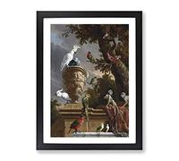 Menagerie By Melchior D'Hondecoeter Classic Painting Framed Print | A2 Black Framed Wall Art | Ready to Hang | Classic Historical Picture | Living Room Bedroom Lounge Office