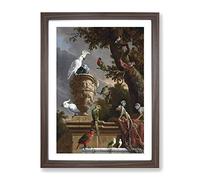 Menagerie By Melchior D'Hondecoeter Classic Painting Framed Print | A2 Walnut Framed Wall Art | Ready to Hang | Classic Historical Picture | Living Room Bedroom Lounge Office