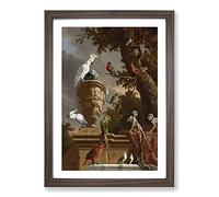 Menagerie by Melchior D'Hondecoeter Framed Print | A2 Walnut Framed Wall Art | Ready to Hang | Modern Nature Picture | Living Room Bedroom Lounge Office