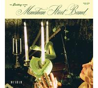 Menahan Street Band - The Exciting Sounds Of Menahan Street Band