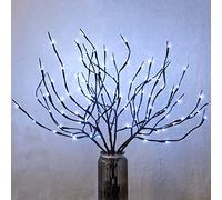 MENCH Branch Lights,6 Pcs Twig Light USB&Battery Powered 8 Flashing Modes by Remote Control.Branch Lights for Indoor, Light Up Decorations for Halloween Day and Christmas,Pure White