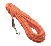 Mendota Pet Check Cord Leash - Dog Training Lead - Made in The USA - Orange, 3/8 in x 50 ft Trainer 50