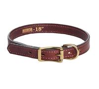 Mendota Pet Leather Standard Collar - Dog Collar - Made in The USA - Chestnut, 3/4 in x 14 in