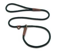 Mendota Pet Slip Leash - Dog Lead and Collar Combo - Made in The USA - Hunter Green, 3/8 in x 4 ft - for Small/Medium Breeds