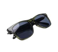 MENDUNER AI Smart Glasses with Dual Microphone Noise Reduction and 144 Languages Translation - IP65 for Business Calls and International Travel (Green Frame Sunglasses)