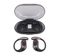 MENDUNER Noise Cancelling Translation Earbuds: AI 164-Language Translator, 3-in-1 Wireless Bluetooth Headphones for Travel Business Study - Black (Black)