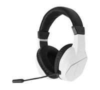 MENDUNER Wireless Gaming Headset, 2.4G Bluetooth 5.4 RGB Light Noise Cancelling Mic with Super Low Latency, PC Computer Smartphone Tablet 2 (White)
