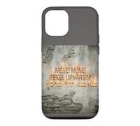 MENE! TEKEL UPHARSIN Case for iPhone 12/12 Pro
