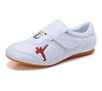 meng Martial Arts Shoes, Unisex Tai-Chi Taekwondo Sneakers Adults Kids Classic Kung Fu Shoes Canvas Anti-Slip Fashion Qigong Trainers (Color : White, Size : 44)