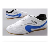 MENG Taekwondo Sport Shoes, Breathable Non-slip Martial Arts Shoes for Adults and Kids (Color : Blue, Size : 32)