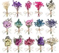 Mengger 15 Bunches of Natural Dried Flowers,Real Dried Pressed Flowers Colorful Dried Flowers DIY Natural Pressed Flowers Set for Arts and Crafts DIY Cards Making Random style