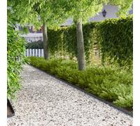 Mengtu 20-Pack Steel Lawn Edging, Anthracite Garden Border Strips 102x4x4cm, Durable Metal Landscape Edging for Flower Beds & Pathways