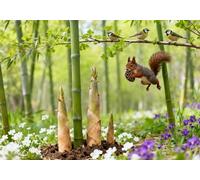 mengzhiyi Cross Stitch Kits Beautiful Images 11CT Stamped Advanced DIY Embroidery Kits with Pattern 40x50cm