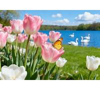 mengzhiyi Embroidery Kit, Flower Sea by The Lake Pre-Printed Cross Stitch Embroidery Kits for Adults Beginners, 11CT DIY Hand Needlework Cross Stitch Kit for Home Wall Deco 40x50cm