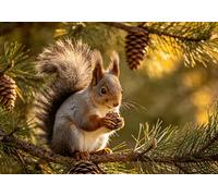 mengzhiyi Embroidery Kit, Squirrel Pre-Printed Cross Stitch Embroidery Kits for Beginners, 11CT DIY Hand Needlework Cross Stitch Kit for Home Wall Deco 40x50cm