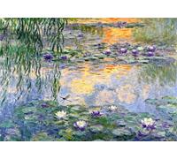 mengzhiyi Stamped Cross Stitch Kits, Lotus Pond and Green Willows DIY Easy Cross Stitch Ornament Kits for Adults Beginners, 11CT Printed Embroidery Needlepoint Kit Home Decor 40x50cm