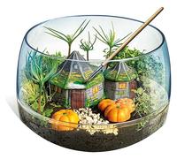 Menkind Harry Potter Hagrids Hut Terrarium