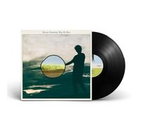 MENNO VERSTEEG - Why We Run [VINYL]