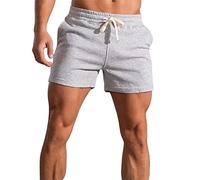 Men's 3" Short Slim Fitted Gym Workout Sweat Running Exercise Athletic Lounge Shorts, Grey-2043, 30 Short