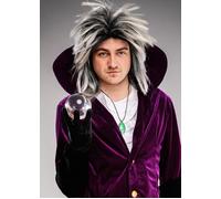 Mens 80s David Bowie Labyrinth Style Silver Wig