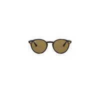 Men's Acetate Fall/Winter Eyewear Collection - male - Ray-Ban - Sunglasses - Brown - 49 MM - Accessories 49 MM