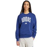 Men's adidas Collegiate Sweatshirt Blue JM1734