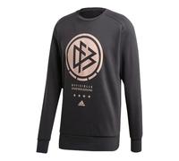 Men's adidas Dfb Ssp Cr Swt Germany National Team Large Logo Round Neck Long Sleeves Black FI1470 XL