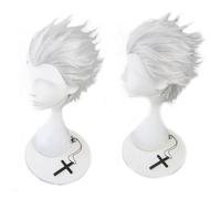 Men's Anime Cosplay Wigs for Emiya Silver White Short Straight Hair for Halloween Party Costume