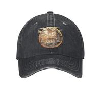 Men's Baseball Cap,Character Fanart Inspired by Clair Obscur Expedition 33 Casual Baseball Cap Fishing Trucker Hat Summer Unisex Snapback Cap,Gift