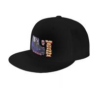 Mens Baseball Cap Pure Cotton，Drowned Tour in 2001 Man Cap Male Cap for Men Baseball Cap for Men Man Hat