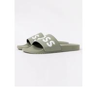 Boss Aryeh 01 Slides