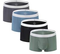 Men's Boxer Briefs Pack Cooling Bamboo No Ride up Big and Tall Underwear for Male M L XL XXL 3XL, 5*back-01, L Big Tall