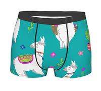 Mens Boxer Briefs Underwear Breathable Stretch Trunk, Llama Alpaca Cactus Cartoon