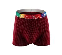 Men's Boxer Shorts, Breathable Underpants, Elastic Waistband with Rainbow Print, Retro Shorts, Comfortable and Soft, Lightweight, Stylish Underwear for Sports and Everyday Use, red, L