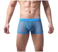 Men's Boxer Underwear - See Through Boxer Shorts Mesh Transparent Underpants Low Rise Hipster Boxer Briefs Breathable Mesh Boxers Anti Chafing Underwear Panties Sexy Lingirie for Men