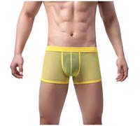 Men's Boxer Underwear - See Through Boxer Shorts Mesh Transparent Underpants Low Rise Hipster Boxer Briefs Breathable Mesh Boxers Anti Chafing Underwear Panties Sexy Lingirie for Men