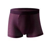Mens Boxers Ice Silk Boxer Shorts, Trunks Underpants Long Leg Boxers Cool Soft Stretch Bulge Seamless/mesh Breathable Underpants Seamless Shorts Underwear Sports Boxers
