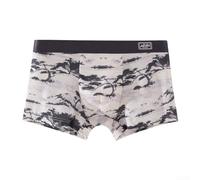 Men's Chinese Style Underwear, Ink Painting Ice Silk Ultra-Thin Breathable Boxer Briefs, Unique Youthful Design(3XL Gray)