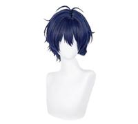 Men's Cosplay Wigs for Liu Xiao Blue Grey Short Wig Heat Resistant Synthetic Fiber Wig for Halloween Party