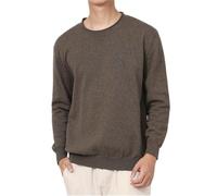 Men's Crewneck Sweater Soft Casual Classic Pullover Knitwear Lightweight Sweaters with Ribbing Edge (Green,S)