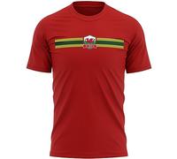 Mens Cymru Badge Stripe T Shirt Welsh Rugby Dragon Wales Tee, 3XL, Red